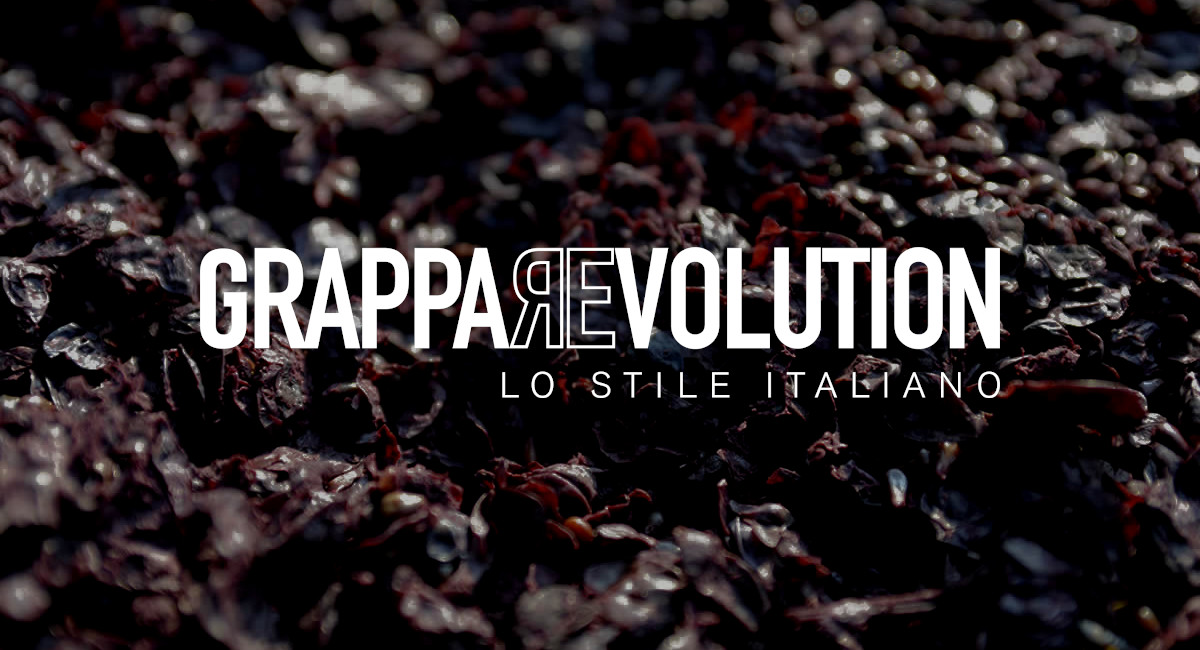 Nasce GrappaRevolution, la piattaforma online completa sul mondo della grappa